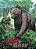 The Lost Bear-.. - Imagem 1