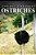 Ostrich - Curious Kids Press-.. - Imagem 1