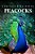 Peacocks - Curious Kids Press-.. - Imagem 1