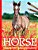 Foals: Horse Images For Artist's Reference And Inspiration-.. - Imagem 1