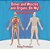 Bones And Muscles And Organs, Oh My! Anatomy And Physiology-.. - Imagem 1