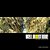 Yellowstone: Textures, Colors & Life-.. - Imagem 1