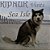 Kipnuk Visits Sea Isle-.. - Imagem 1