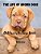 The Life Of Brown Dogs: Children's Picture Book-.. - Imagem 1
