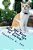 Do You Know What Your Cat Is Saying?: Animals Tell All - Fable, Verse And Haiku-.. - Imagem 1