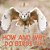 How And Why Do Birds Fly-.. - Imagem 1