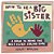 How To Be A Big Sister: A Guide To Being The Best Older Sibling Ever-.. - Imagem 1