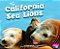 California Sea Lions-.. - Imagem 1