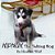 Kipnuk The Talking Dog-.. - Imagem 1