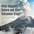 What Happens Before And After Volcanoes Erupt? Geology For Kids Children's Earth Sciences Books-.. - Imagem 1