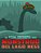 La Vida Secreta Del Monstruo Del Lago Ness-.. - Imagem 1
