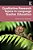 Qualitative Research Topics In Language Teacher Education-.. - Imagem 1