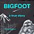 Bigfoot A True Story: Our True Story-.. - Imagem 1