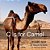 C Is For Camel: An Abc Book Of Saudi Arabia-.. - Imagem 1
