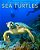 Sea Turtles: Amazing Pictures & Fun Facts On Animals In Nature-.. - Imagem 1