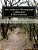 The Author's Photograph Collection Color Edition-.. - Imagem 1