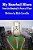 My Baseball Blues From The Baseball's Point Of View-.. - Imagem 1