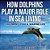 How Dolphins Play A Major Role In Sea Living Children's Fish & Marine Life-.. - Imagem 1