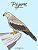 Pájaros Libro Para Colorear 1-.. - Imagem 1