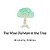 The Wise Old Man In The Tree-.. - Imagem 1