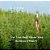 The Tree That Never Was, The Odyssey Of White Fir-.. - Imagem 1