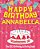 Happy Birthday Annabella - The Big Birthday Activity Book: (Personalized Children's Activity Book)-.. - Imagem 1