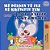 I Love To Sleep In My Own Bed (Albanian English Bilingual Book For Kids)-.. - Imagem 1