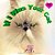 If I Was Your Cat-.. - Imagem 1