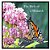 The Birth Of A Monarch: Metamorphosis Of A Monarch Butterfly-.. - Imagem 1