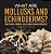 What Are Mollusks And Echinoderms? Functions, Groups, Roles And Characteristics Grade 6-8 Life Science-.. - Imagem 1