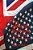 The Amglish Dictionary: An English Language Survival Guide-.. - Imagem 1