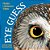 Eye Guess: A Forest Animal Guessing Game-.. - Imagem 1
