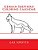 German Shepherd Coloring Calendar-.. - Imagem 1