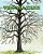 The All Tree-.. - Imagem 1