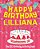 Happy Birthday Lilliana - The Big Birthday Activity Book: Personalized Children's Activity Book-.. - Imagem 1