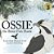 Ossie The Brave Fish Hawk-.. - Imagem 1