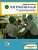 Hands On Activity, Ipa, Buku Penunjang Praktikum-.. - Imagem 1