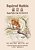 Squirrel Nutkin (Traditional Chinese): 04 Hanyu Pinyin Paperback Color-.. - Imagem 1