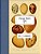 Vintage Prints: Eggs: Vol. 3-.. - Imagem 1