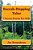 Succah Hopping Tales: Succos Stories For Kids-.. - Imagem 1