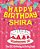Happy Birthday Shira - The Big Birthday Activity Book: (Personalized Children's Activity Book)-.. - Imagem 1