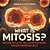What Is Mitosis? Mitosis Cycle Vs. Cell Cycle Explained Diploid Daughter Cells Grade 6-8 Life Science-.. - Imagem 1