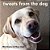 Tweets From The Dog-.. - Imagem 1