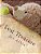 Lost Treasure: The Adventures Of Carla Bear. The Little Bear With A Big Imagination-.. - Imagem 1