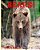 Bears: Childrens Book About Bears -Learn About Bears Behaviour And Enjoy Many Great Pictures-.. - Imagem 1