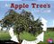 An Apple Tree's Life Cycle-.. - Imagem 1