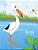 Birds Coloring Book 7, 8 & 9-.. - Imagem 1