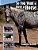 So You Want To Have A Horse-.. - Imagem 1