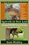 Squirrels In Deer Land: A Novel Celebrating Those With Adhd, Giftedness, And Other Things That Make US, Well, Squirrelly... -.. - Imagem 1