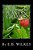 Ants In The Plants At Gramps-.. - Imagem 1